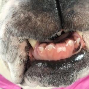 Meet your Posher, Ayden